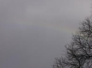 SunFeb2520071255AM_2.jpg