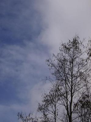 SunFeb2520071255AM_3.jpg