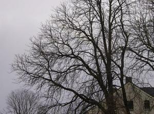 SunFeb2520071255AM_4.jpg
