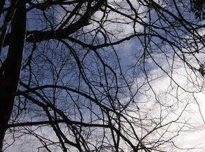 SunFeb2520071259AM_2.jpg