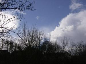 SunFeb2520071259AM_4.jpg