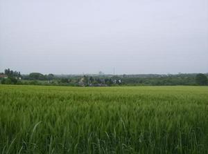 SunMay620070128AM.jpg