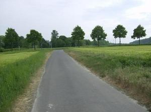 SunMay620070133AM_3.jpg