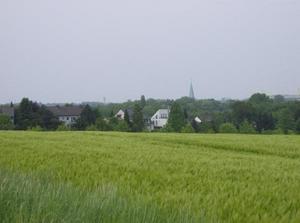 SunMay620070133AM_5.jpg