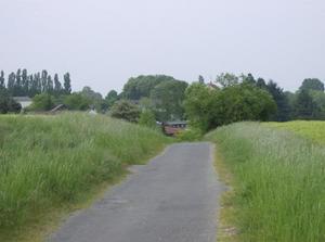 SunMay620070133AM_6.jpg
