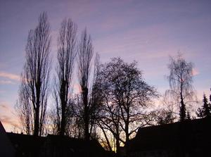 SunNov262006054158PM.jpg