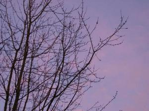 SunNov262006054248PM.jpg