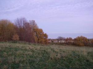 SunNov262006054828PM.jpg