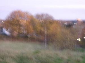 SunNov262006054926PM.jpg