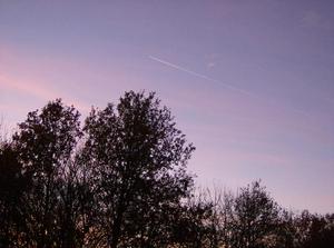 SunNov262006055006PM.jpg
