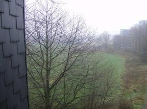 ThuDec2120061249PM.jpg