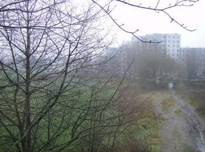 ThuDec2120061250PM.jpg