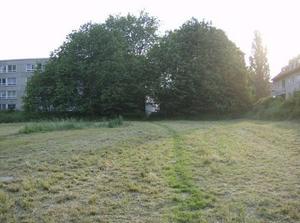 ThuJun720070304AM_3.jpg