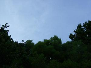 ThuJun720070313AM_2.jpg