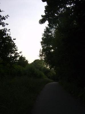 ThuJun720070313AM_3.jpg