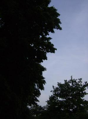 ThuJun720070313AM.jpg
