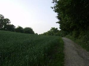 ThuJun720070319AM_4.jpg