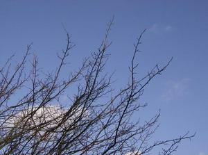 TueDec1220060257PM_2.jpg