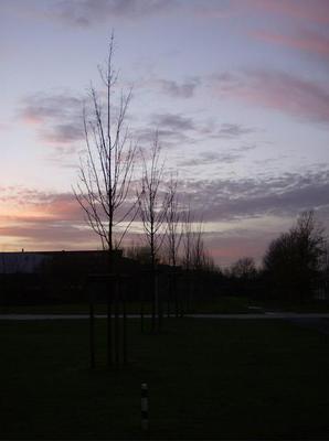 TueDec1220060532PM_2.jpg