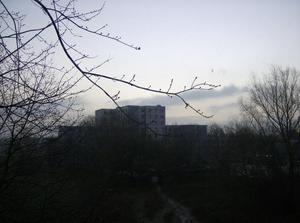 TueDec1220060922AM.jpg