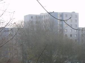 TueDec1220060923AM_3.jpg