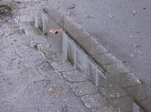 TueDec1220061121AM_2.jpg