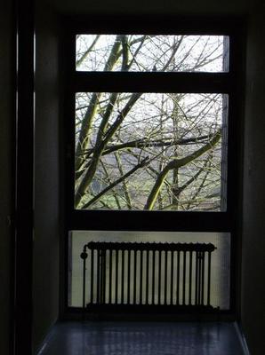 TueDec1220061123AM_2.jpg