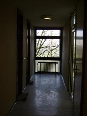 TueDec1220061123AM.jpg