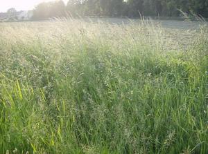 TueJun520070306AM_3.jpg