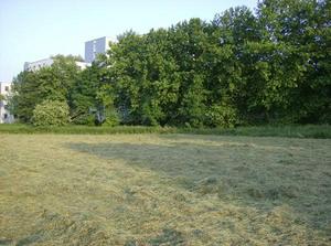 TueJun520070309AM_2.jpg