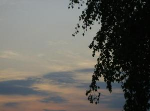 WedApr2520070335AM_2.jpg