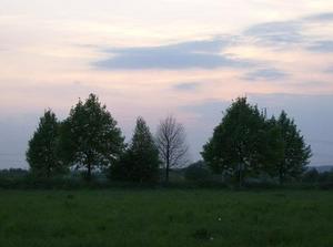 WedApr2520070335AM_3.jpg