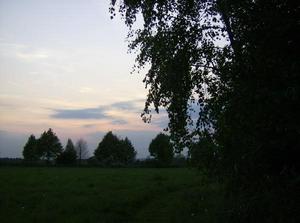 WedApr2520070335AM.jpg
