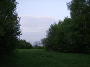 WedApr2520070336AM_2.jpg
