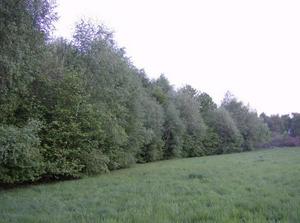 WedApr2520070336AM_3.jpg