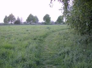 WedApr2520070337AM_2.jpg