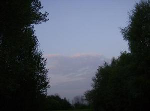 WedApr2520070337AM.jpg