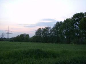 WedApr2520070342AM_3.jpg