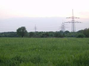 WedApr2520070342AM.jpg