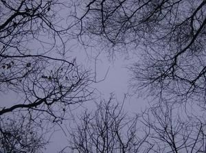 WedDec1320060504PM_3.jpg