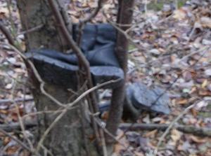 WedDec1320060505PM.jpg