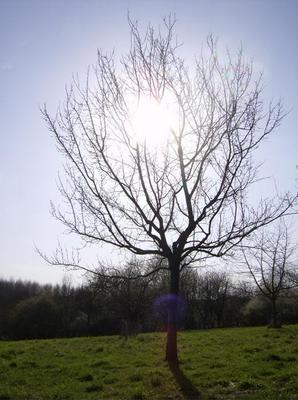 WedMar2820070134AM_2.jpg