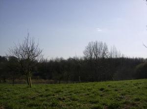 WedMar2820070134AM.jpg