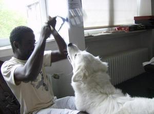 WedMay3020070214AM_4.jpg