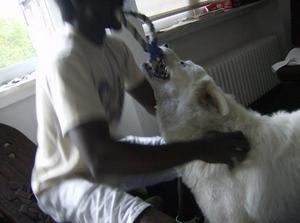 WedMay3020070214AM.jpg