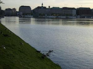 SunApr2220070254AM_3.jpg