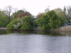 SunApr2220070254AM.jpg