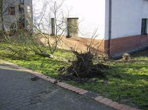 FriJan1920071117AM.jpg