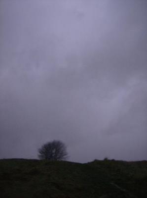 ThuJan1820070610PM.jpg