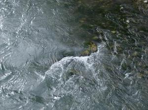 SatApr720070103AM_4.jpg